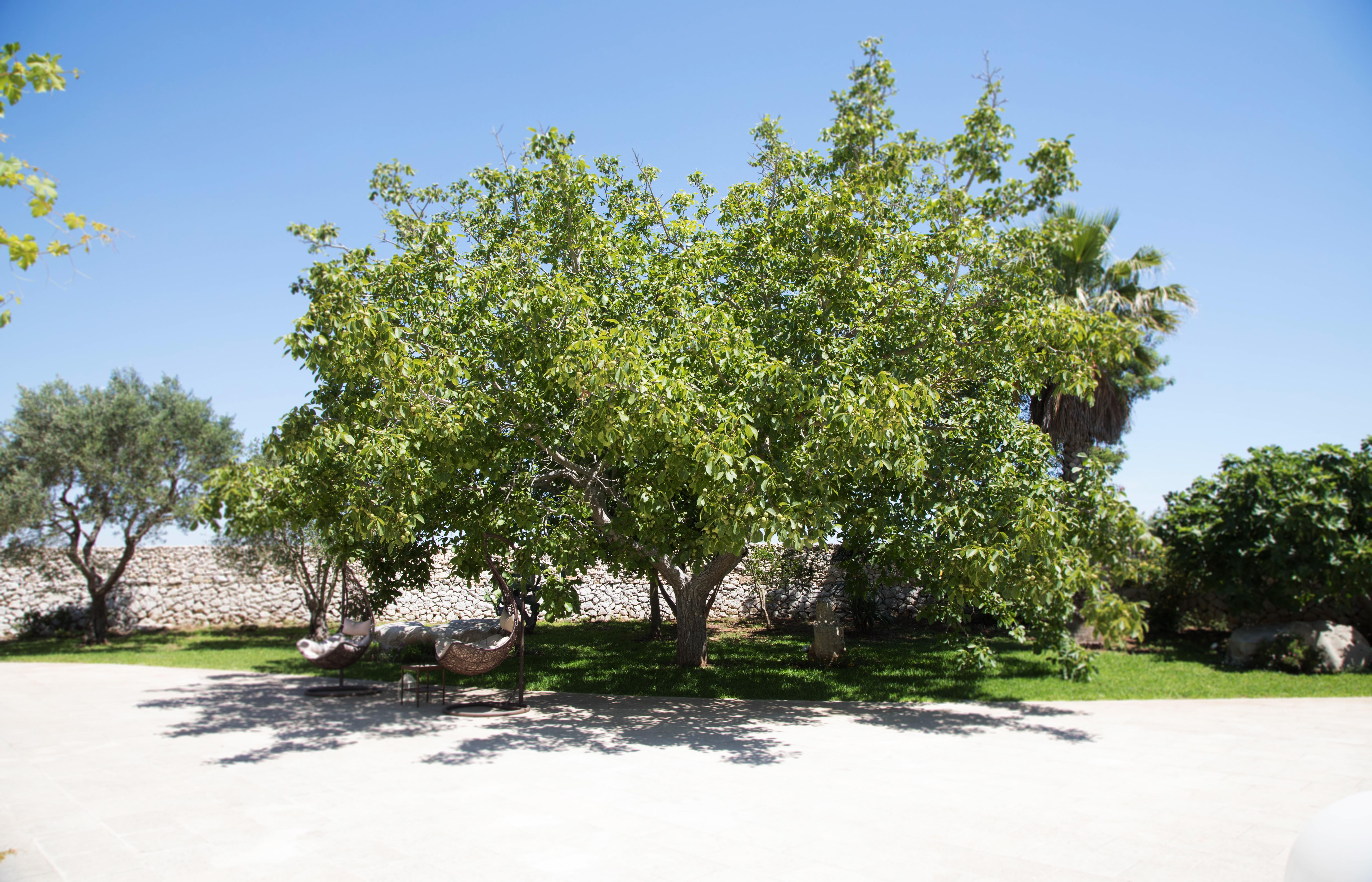 Don Agostino Relais Masseria Martano Exteriér fotografie